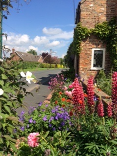 Flowers on Main Street