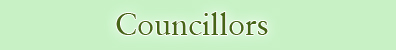 Councillors Icon